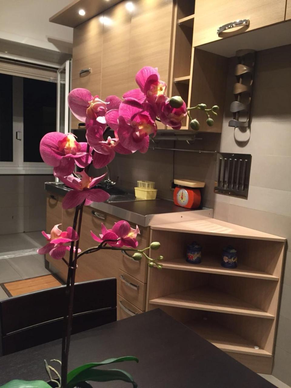 罗马Smart House - Ammiragli2公寓 外观 照片